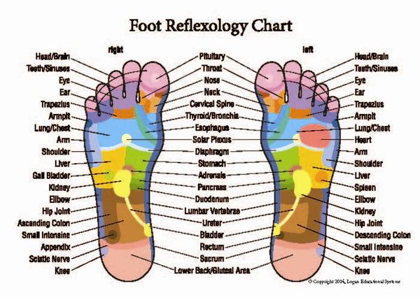 Foot Hand Reflexology Chart