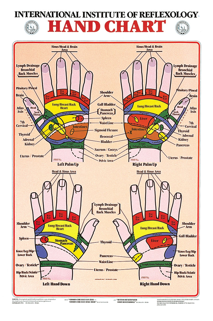 reflexology-hand-chart-8x11